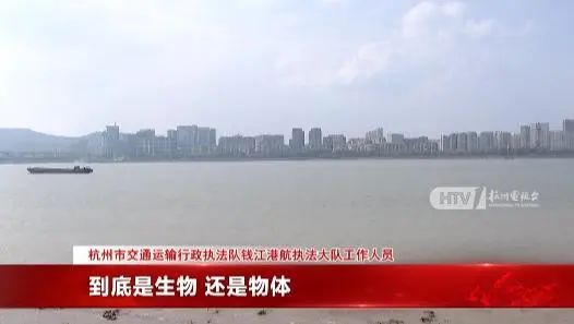 塘江水面疑似出现高速不明物：可能超5米龙8国际唯一网站江西天降火球未头绪钱(图7)