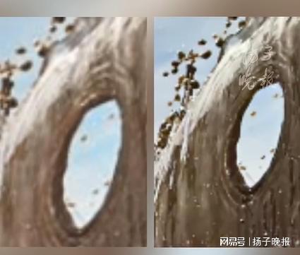 影大展一入展作品确认剽窃抄袭紫牛热点取消荣誉！中国手机摄(图2)